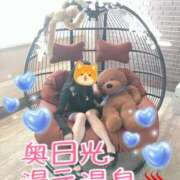 ヒメ日記 2025/07/19 03:35 投稿 りあ 小山発！素人専門デリヘルCuteCute