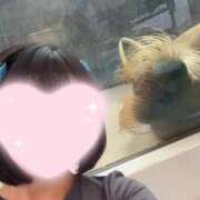 ヒメ日記 2025/04/02 13:03 投稿 とあ One More奥様　立川店