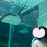 ヒメ日記 2025/05/01 01:09 投稿 とあ One More奥様　立川店