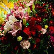 ヒメ日記 2025/03/06 18:21 投稿 和泉 伊織 横浜貴楼館