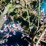 ヒメ日記 2026/02/11 09:21 投稿 和泉 伊織 横浜貴楼館