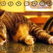 ヒメ日記 2026/02/12 10:53 投稿 和泉 伊織 横浜貴楼館