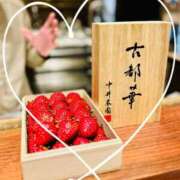 ヒメ日記 2026/03/03 09:51 投稿 和泉 伊織 横浜貴楼館