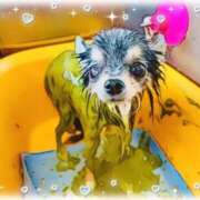 ヒメ日記 2026/03/16 10:49 投稿 和泉 伊織 東京貴楼館