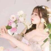 ヒメ日記 2024/12/16 22:14 投稿 らぶ【スケベから始まる恋物語】 STELLA TOKYO－ステラトウキョウ－