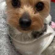 ヒメ日記 2025/03/25 22:45 投稿 ひなこ 熟女総本店