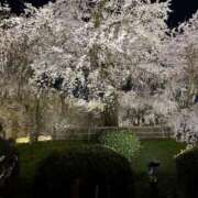 ヒメ日記 2025/04/09 05:59 投稿 ひなこ 熟女総本店