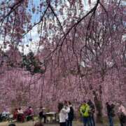 ヒメ日記 2025/04/18 05:55 投稿 ひなこ 熟女総本店