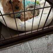 ヒメ日記 2025/06/13 05:35 投稿 ひなこ 熟女総本店