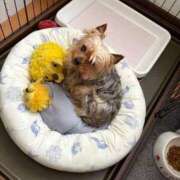 ヒメ日記 2025/06/20 06:15 投稿 ひなこ 熟女総本店