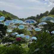 ヒメ日記 2025/06/25 06:28 投稿 ひなこ 熟女総本店