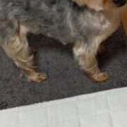 ヒメ日記 2025/07/01 11:55 投稿 ひなこ 熟女総本店