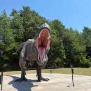 ヒメ日記 2025/08/01 13:25 投稿 ひなこ 熟女総本店