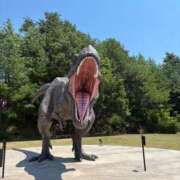 ヒメ日記 2025/08/02 05:55 投稿 ひなこ 熟女総本店