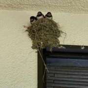 ヒメ日記 2025/09/18 10:55 投稿 ひなこ 熟女総本店