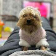 ヒメ日記 2025/09/30 12:00 投稿 ひなこ 熟女総本店