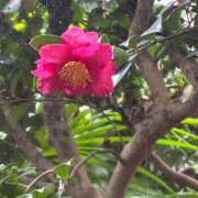 ヒメ日記 2026/01/29 11:22 投稿 ひなこ 熟女総本店