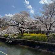 ヒメ日記 2026/04/06 12:42 投稿 ひなこ 熟女総本店