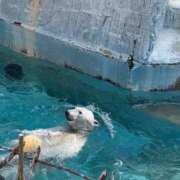 ヒメ日記 2025/02/27 16:20 投稿 める【業界未経験】 あのスパ茨木・枚方店