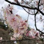 ヒメ日記 2025/03/22 12:50 投稿 める【業界未経験】 あのスパ茨木・枚方店