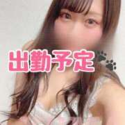 ヒメ日記 2025/01/03 12:04 投稿 ゆま フェアリードール