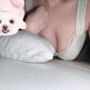 ヒメ日記 2025/11/15 17:12 投稿 かみ 11チャンネル