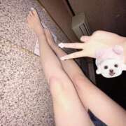 ヒメ日記 2025/11/17 12:02 投稿 かみ 11チャンネル