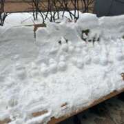 ヒメ日記 2026/01/18 15:08 投稿 かみ 11チャンネル