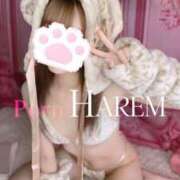 ヒメ日記 2025/02/23 09:18 投稿 Mana #顔面至上主義