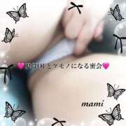 ヒメ日記 2025/01/24 20:52 投稿 まみ KIREI（五反田）