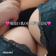 ヒメ日記 2025/04/12 15:49 投稿 まみ KIREI（五反田）