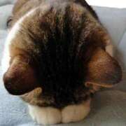 ヒメ日記 2025/06/05 14:18 投稿 白井 なつな HANA-okinawa-