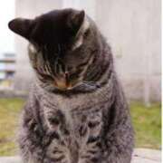 ヒメ日記 2025/07/19 09:30 投稿 白井 なつな HANA-okinawa-