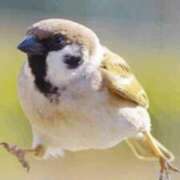 ヒメ日記 2025/01/21 06:50 投稿 仁科女医 病院