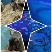 ヒメ日記 2025/09/10 16:46 投稿 仁科女医 病院