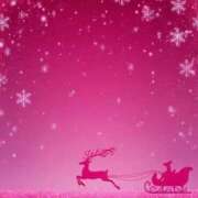 ヒメ日記 2025/12/25 08:31 投稿 岡崎 ちとせ 神戸RED DRAGON