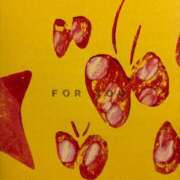 ヒメ日記 2026/01/16 19:21 投稿 岡崎 ちとせ 神戸RED DRAGON