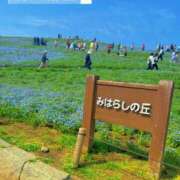 ヒメ日記 2025/04/25 14:19 投稿 ひかる G-SPOT