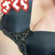 ヒメ日記 2025/11/13 07:31 投稿 さくら 激安ドットコム