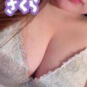 ヒメ日記 2025/11/15 08:31 投稿 さくら 激安ドットコム