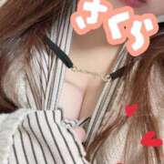 ヒメ日記 2025/12/08 07:31 投稿 さくら 激安ドットコム