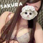 ヒメ日記 2026/01/04 08:25 投稿 さくら 激安ドットコム