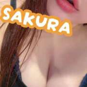 ヒメ日記 2026/02/23 08:15 投稿 さくら 激安ドットコム