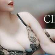 ヒメ日記 2025/01/25 13:29 投稿 CIEL TALL