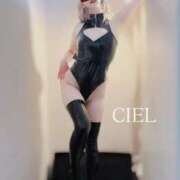 ヒメ日記 2025/02/08 12:06 投稿 CIEL TALL