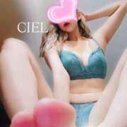 ヒメ日記 2025/02/20 13:39 投稿 CIEL TALL