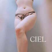 ヒメ日記 2025/02/28 13:39 投稿 CIEL TALL