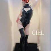 ヒメ日記 2025/03/16 13:49 投稿 CIEL TALL