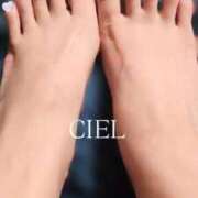 ヒメ日記 2025/06/24 12:59 投稿 CIEL TALL