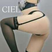 ヒメ日記 2025/07/26 12:29 投稿 CIEL TALL